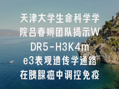 天津大学生命科学学院吕春婉团队揭示WDR5-H3K4me3表观遗传学通路在胰腺癌中调控免疫原性及免疫抑制的新机制