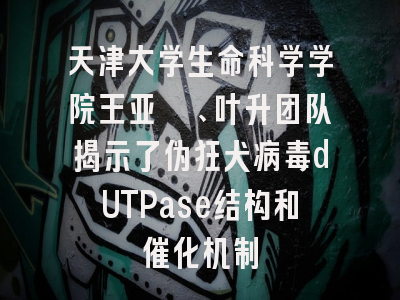 天津大学生命科学学院王亚鑫、叶升团队揭示了伪狂犬病毒dUTPase结构和催化机制