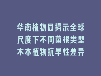 华南植物园揭示全球尺度下不同菌根类型木本植物抗旱性差异