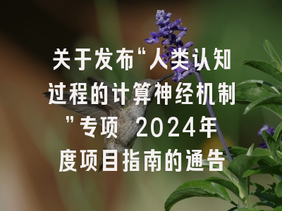 关于发布“人类认知过程的计算神经机制”专项 2024年度项目指南的通告