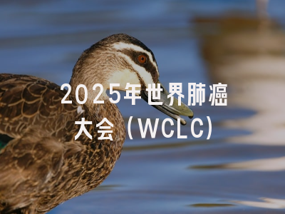 2025年世界肺癌大会（WCLC）