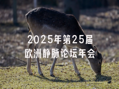 2025年第25届欧洲静脉论坛年会