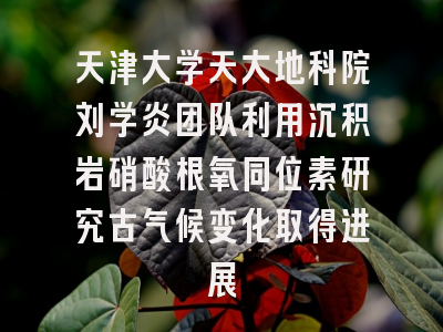 天津大学天大地科院刘学炎团队利用沉积岩硝酸根氧同位素研究古气候变化取得进展