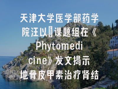 天津大学医学部药学院汪以馼课题组在《Phytomedicine》发文揭示地骨皮甲素治疗肾结石新机制