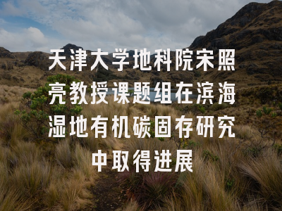 天津大学地科院宋照亮教授课题组在滨海湿地有机碳固存研究中取得进展