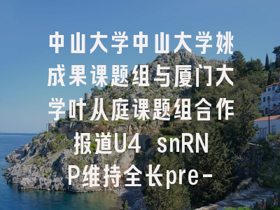 中山大学中山大学姚成果课题组与厦门大学叶从庭课题组合作报道U4 snRNP维持全长pre-mRNA转录完整性的分子生物学功能