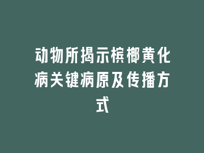 动物所揭示槟榔黄化病关键病原及传播方式