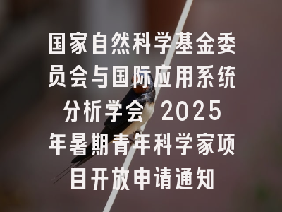 国家自然科学基金委员会与国际应用系统分析学会 2025年暑期青年科学家项目开放申请通知
