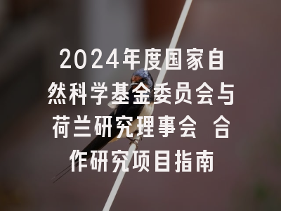 2024年度国家自然科学基金委员会与荷兰研究理事会 合作研究项目指南