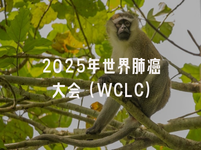 2025年世界肺癌大会（WCLC）