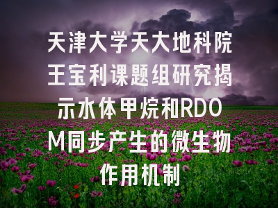 天津大学天大地科院王宝利课题组研究揭示水体甲烷和RDOM同步产生的微生物作用机制