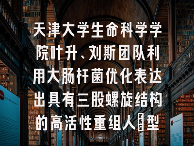 天津大学生命科学学院叶升、刘斯团队利用大肠杆菌优化表达出具有三股螺旋结构的高活性重组人Ⅲ型胶原蛋白