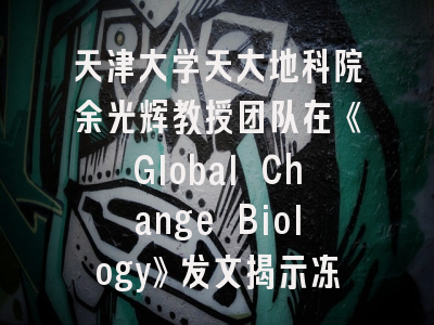 天津大学天大地科院余光辉教授团队在《Global Change Biology》发文揭示冻土中碳储存的新机制