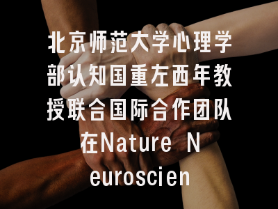 北京师范大学心理学部认知国重左西年教授联合国际合作团队在Nature Neuroscience发文 揭示儿童青少年脑智发育的皮层注意网络成熟机制