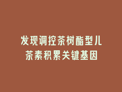 发现调控茶树酯型儿茶素积累关键基因