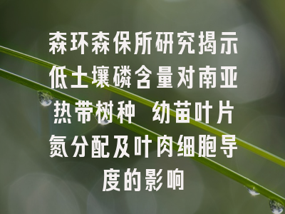 森环森保所研究揭示低土壤磷含量对南亚热带树种 幼苗叶片氮分配及叶肉细胞导度的影响