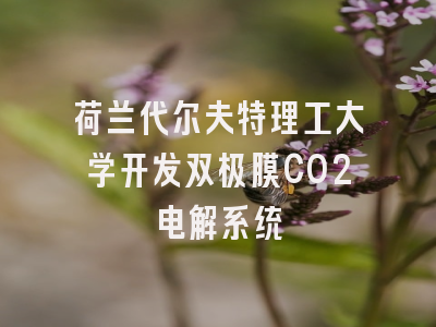 荷兰代尔夫特理工大学开发双极膜CO2电解系统