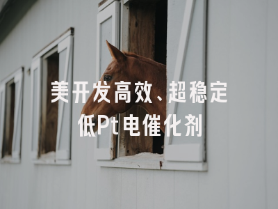 美开发高效、超稳定低Pt电催化剂