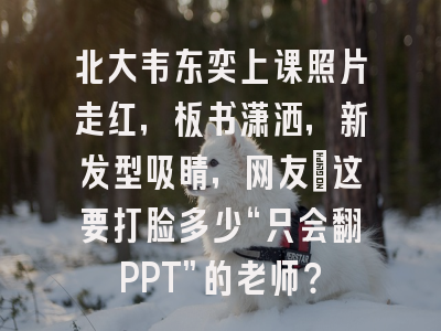 北大韦东奕上课照片走红，板书潇洒，新发型吸睛，网友：这要打脸多少“只会翻PPT”的老师？