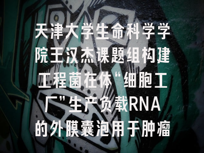 天津大学生命科学学院王汉杰课题组构建工程菌在体“细胞工厂”生产负载RNA的外膜囊泡用于肿瘤治疗