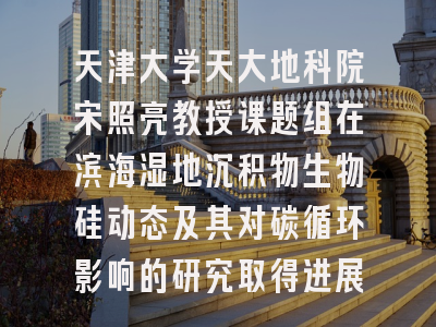 天津大学天大地科院宋照亮教授课题组在滨海湿地沉积物生物硅动态及其对碳循环影响的研究取得进展