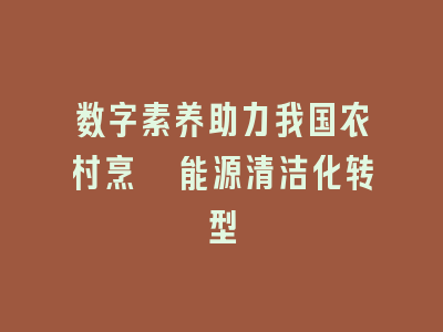 数字素养助力我国农村烹饪能源清洁化转型