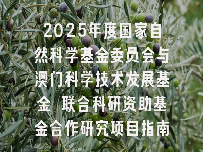 2025年度国家自然科学基金委员会与澳门科学技术发展基金 联合科研资助基金合作研究项目指南