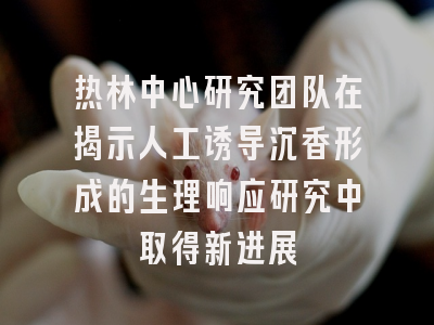 热林中心研究团队在揭示人工诱导沉香形成的生理响应研究中取得新进展