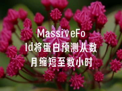 MassiveFold将蛋白预测从数月缩短至数小时