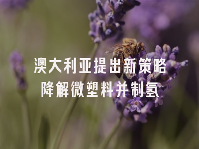 澳大利亚提出新策略降解微塑料并制氢