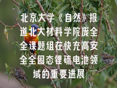 北京大学《自然》报道北大材料学院庞全全课题组在快充高安全全固态锂硫电池领域的重要进展