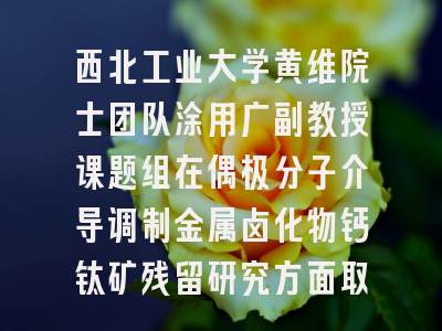 西北工业大学黄维院士团队涂用广副教授课题组在偶极分子介导调制金属卤化物钙钛矿残留研究方面取得新进展