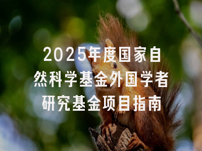 2025年度国家自然科学基金外国学者研究基金项目指南