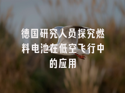 德国研究人员探究燃料电池在低空飞行中的应用