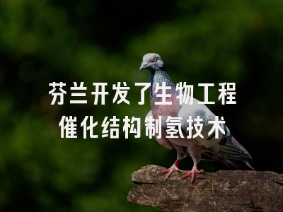 芬兰开发了生物工程催化结构制氢技术