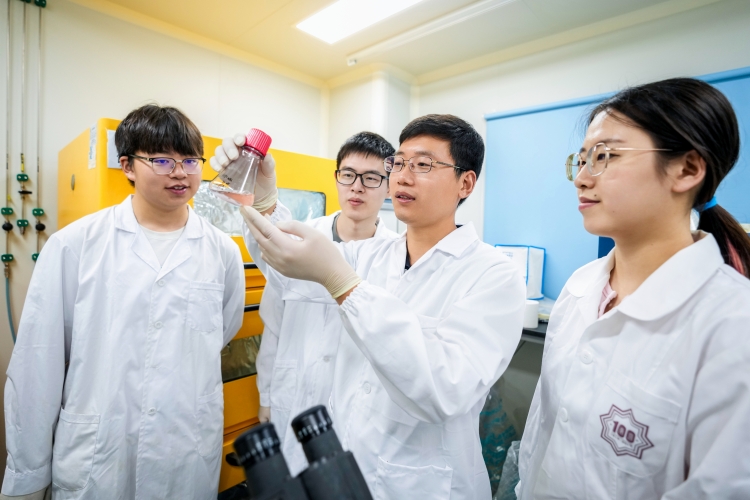 南开团队Nature发文 破解抗结核药物贝达喹啉及其衍生物作用机理