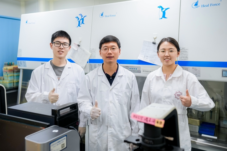 南开团队Nature发文 破解抗结核药物贝达喹啉及其衍生物作用机理