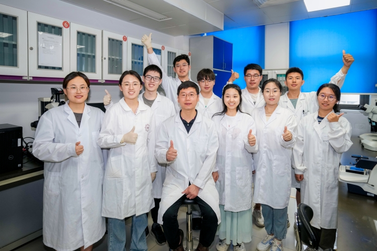 南开团队Nature发文 破解抗结核药物贝达喹啉及其衍生物作用机理