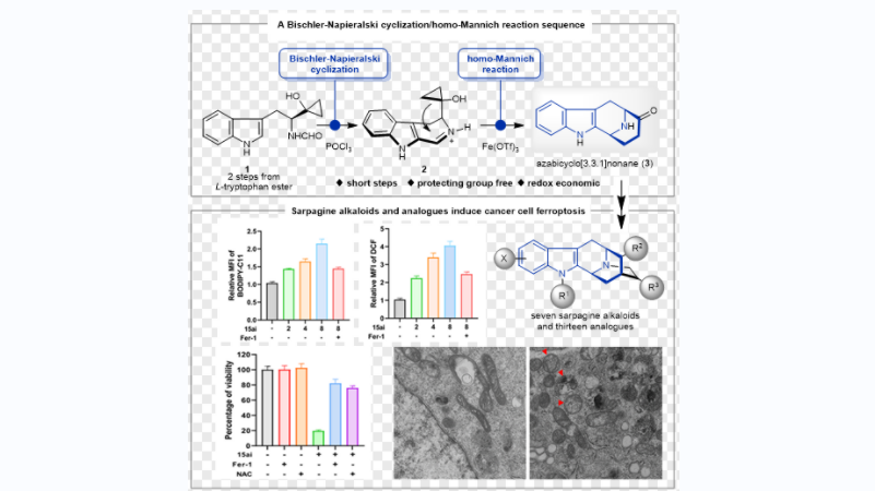 重庆大学药学院在《自然·通讯》（Nature Communications）发表研究成果