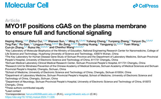 电子科技大学医学院王晨辉教授团队在Molecular Cell发表研究成果 提出质膜上cGAS的生物学功能