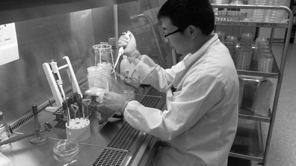 张瑞永：潜心研究，让微生物告诉我答案