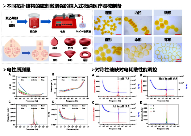 东南大学孙剑飞研究员在Advanced Materials发表有关微凝胶可植入医疗器械电耗散性能调控的最新研究成果