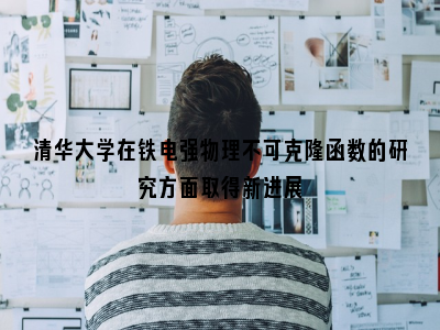 清华大学在铁电强物理不可克隆函数的研究方面取得新进展