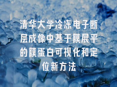 清华大学冷冻电子断层成像中基于膜展平的膜蛋白可视化和定位新方法