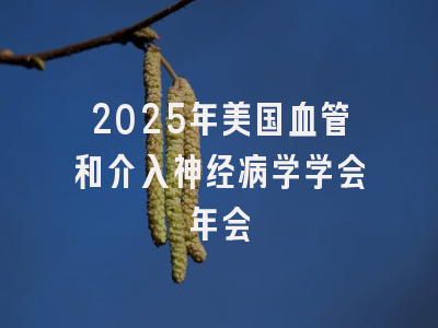 2025年美国血管和介入神经病学学会年会