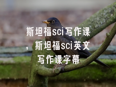 斯坦福sci写作课,斯坦福sci英文写作课字幕