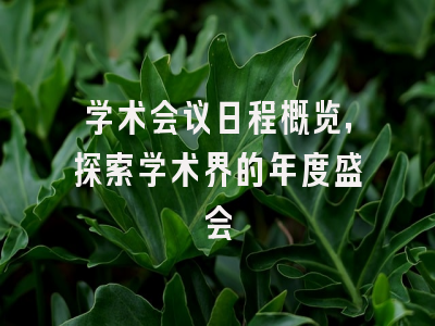 学术会议日程概览，探索学术界的年度盛会