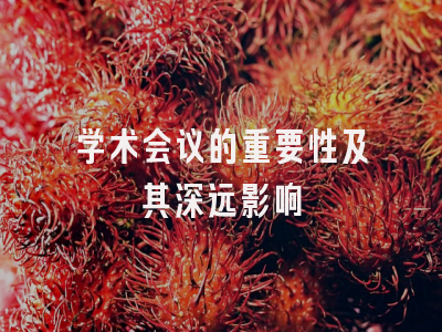 学术会议的重要性及其深远影响