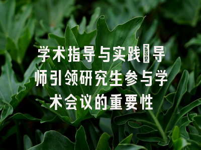 学术指导与实践：导师引领研究生参与学术会议的重要性