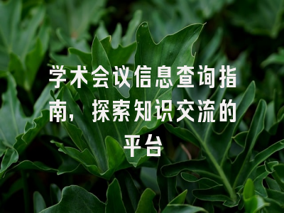 学术会议信息查询指南，探索知识交流的平台